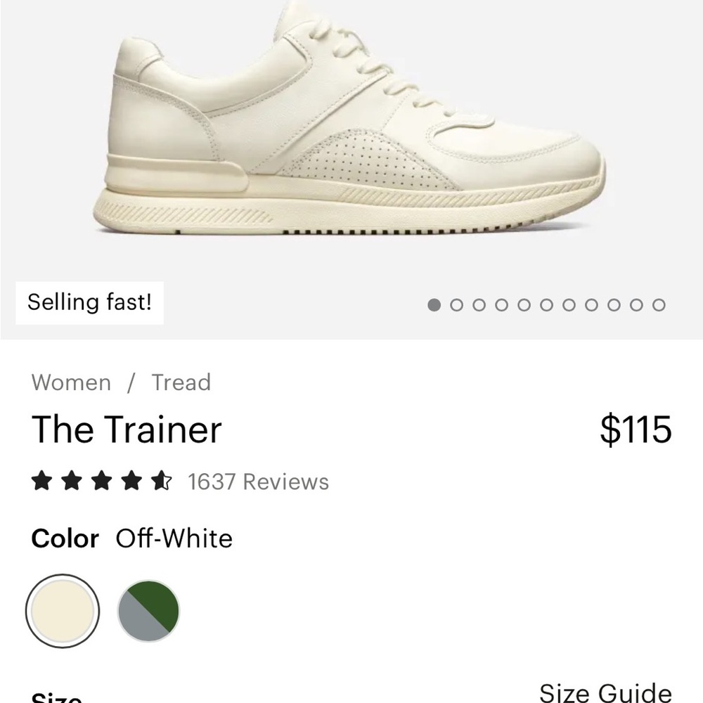 Everlane the trainer shoes